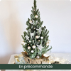 Sapin de Noël Givré